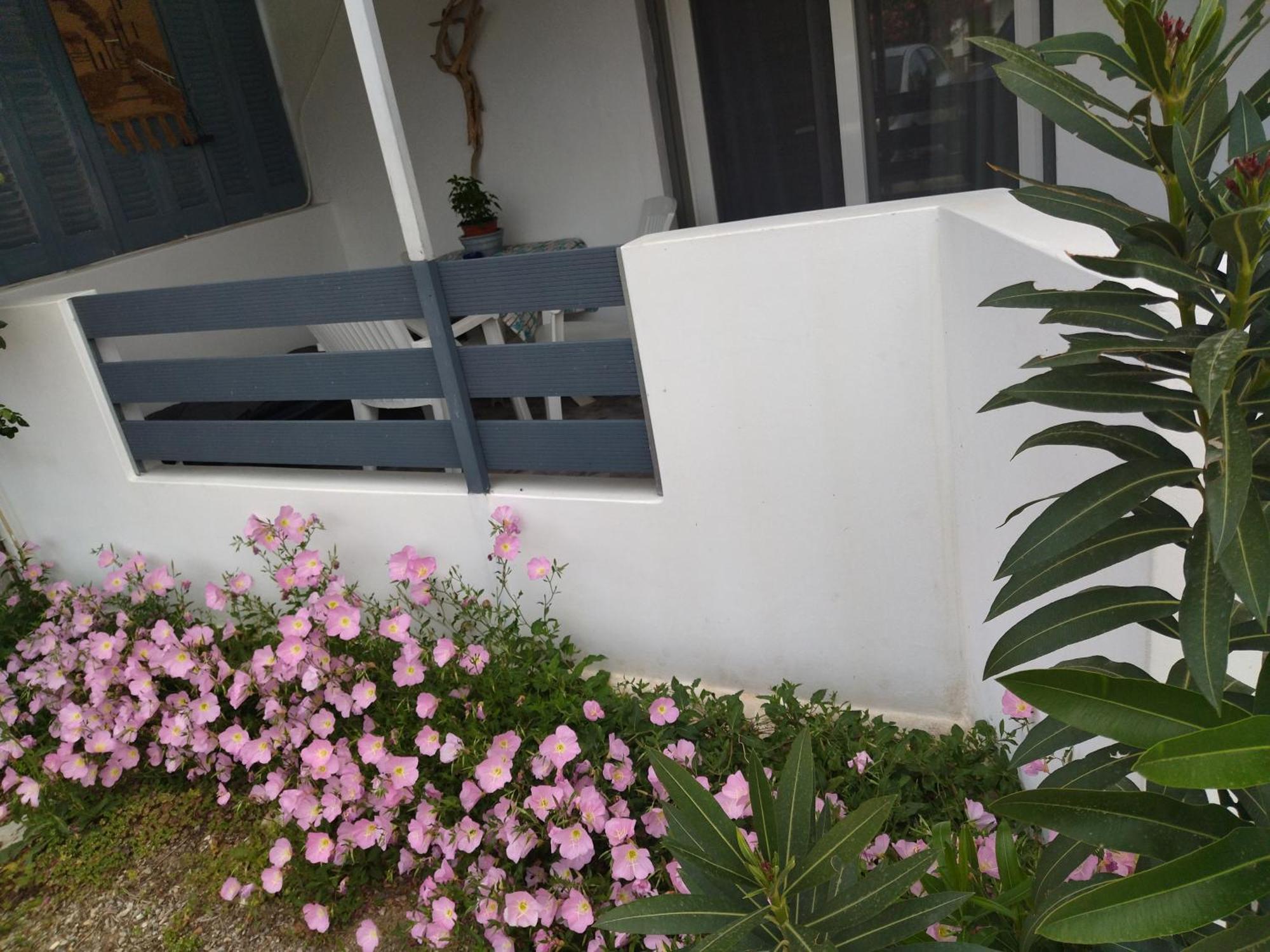 Blue Dreams Guest House Almiropotamos Phòng bức ảnh