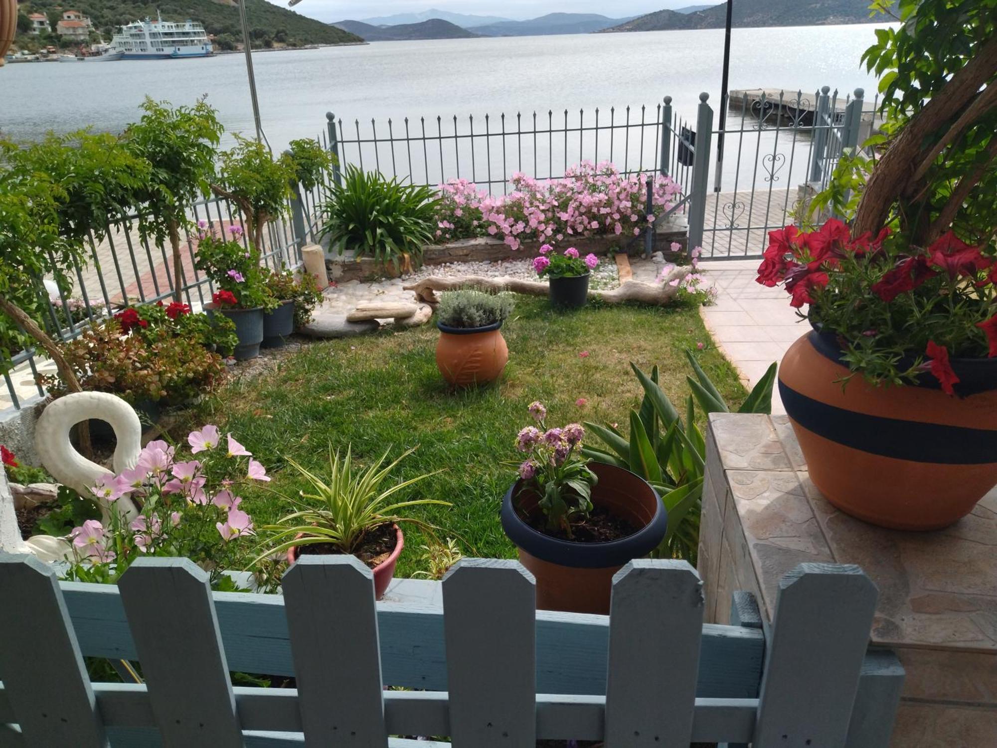 Blue Dreams Guest House Almiropotamos Phòng bức ảnh